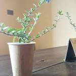 ファームスタンド - 