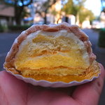 上野の山モン断面