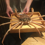 祇園 にし - ズワイガニ？越前カニ？？松葉ガニらしい