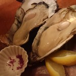 ビストロ ハッチ - 牡蠣　良いボリューム