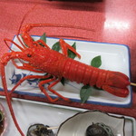 민슈쿠 료칸 마츠모토