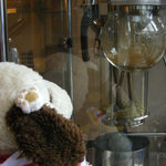 うさぎとぼく - 自分のコーヒー豆が焙煎されるのを見るつぬっこ。