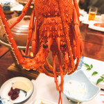 磯崎旅館 - 料理写真:伊勢海老アップ