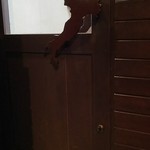 オステリアバールルイージ - 内観