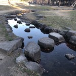 スターバックスコーヒー - 