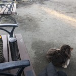 スターバックスコーヒー - 