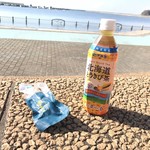 道の駅 みたら室蘭 - 薫たま＆北海道とうきび茶