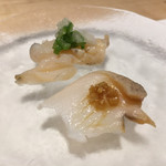 髙橋 謙太郎 - つぶ貝