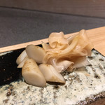 髙橋 謙太郎 - ガリ