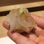 髙橋 謙太郎 - 白海老