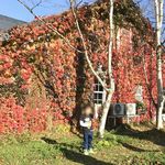 レークヒル・ファーム - Ｂ館 側面