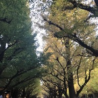 キハチ 青山本店 - 