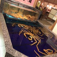 かに道楽 梅田店 - 