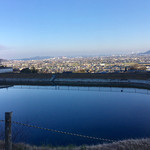 すずめ庵 - 新年に相応しい神聖で綺麗な場所
      今年は煩悩を少しだけ捨てて
      生きてみようと思っておる