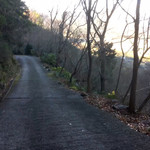 すずめ庵 - って！イヤホン忘れてる…
      No music No tozan
      無音で登る事になるオレ鹿氏
      い、いけるのか？(；ω；)