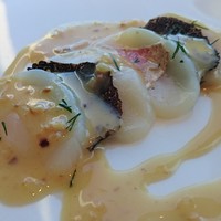 オザミトーキョー - 