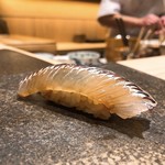 寿し おおはた - 美しすぎるやろ！サヨリ！