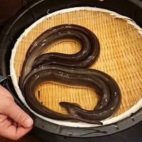 入谷鬼子母神門前のだや - 