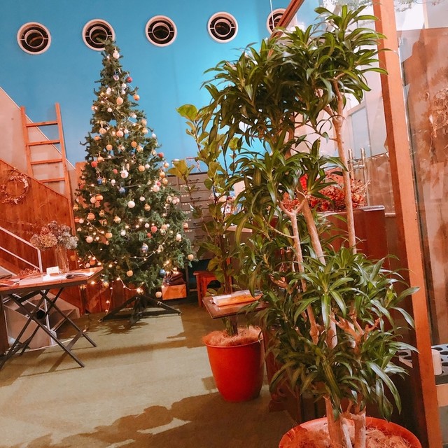 ape cucina naturale photo 4