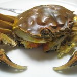 味芳斎 - 上海蟹