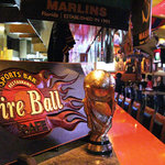 天神 焼き鳥 ファイアーボール