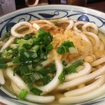 MarukameUDON - ぬるすぎてお話にならない