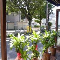 イノーヴェ - 