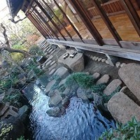 そば会席 立会川 吉田家 - 錦鯉が泳いでいます