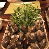 桑名蛤料理・蛤しゃぶしゃぶ 貝新 - 