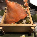 汀邸　遠音近音　Ochi Kochi - 