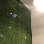 リゾッテリア コバトヤ - トイレの壁面