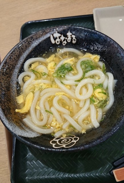 はなまるうどん イオンモール苫小牧店 - 苫小牧（うどん）の写真