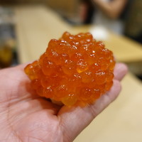 初音鮨 - 