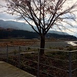 Rotasu Rifu - 晩秋の安曇川河川敷①