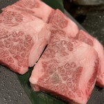 隠れ家焼肉 ニクノトリコ 六本木 - 