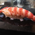 鮨松榮 - 車海老