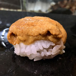 鮨松榮 - 雲丹 羽立産