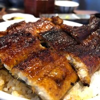 うなぎ料理 澤正 - 