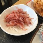 ごはん屋さくら - 桜エビの刺身。