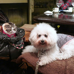 旬采 - This close, finally〜♬ 