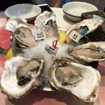 Oyster Bar ジャックポット - 