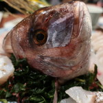 汀邸　遠音近音　Ochi Kochi - 鯛の姿造り