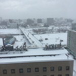 ホテルマイステイズプレミア札幌パーク - 景色は雪景色（＾∇＾）