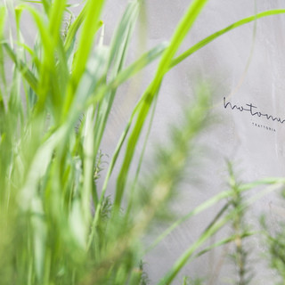 Trattoria motomu.N_1