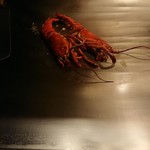 鉄板焼　神戸グリル  - 