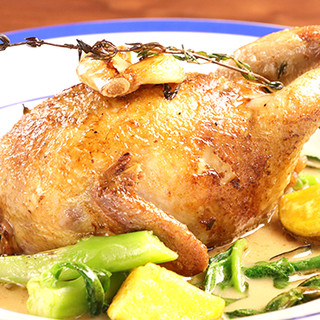 ビストロ ラ テラコッタ_0