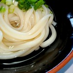 Fujimi Udon - 