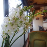 ウィウィ - 店内