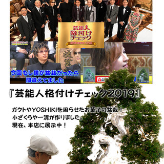 小ざくらや一清_0