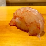 鮨 あらい - ぼたん海老